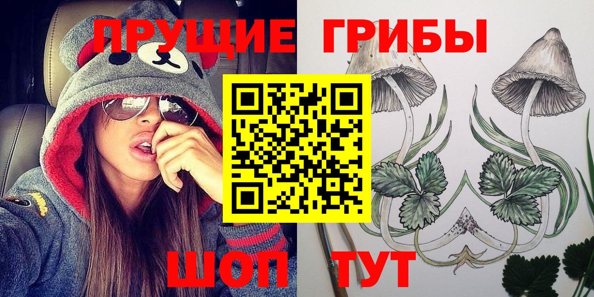 Галлюциногенные грибы Magic Shrooms  Псилоцибиновые грибы прущие грибы  Кулебаки  Вход с VPN 