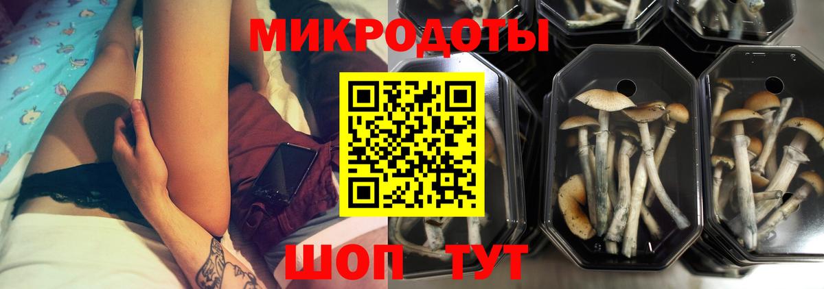 Псилоцибиновые грибы мухоморы Кулебаки